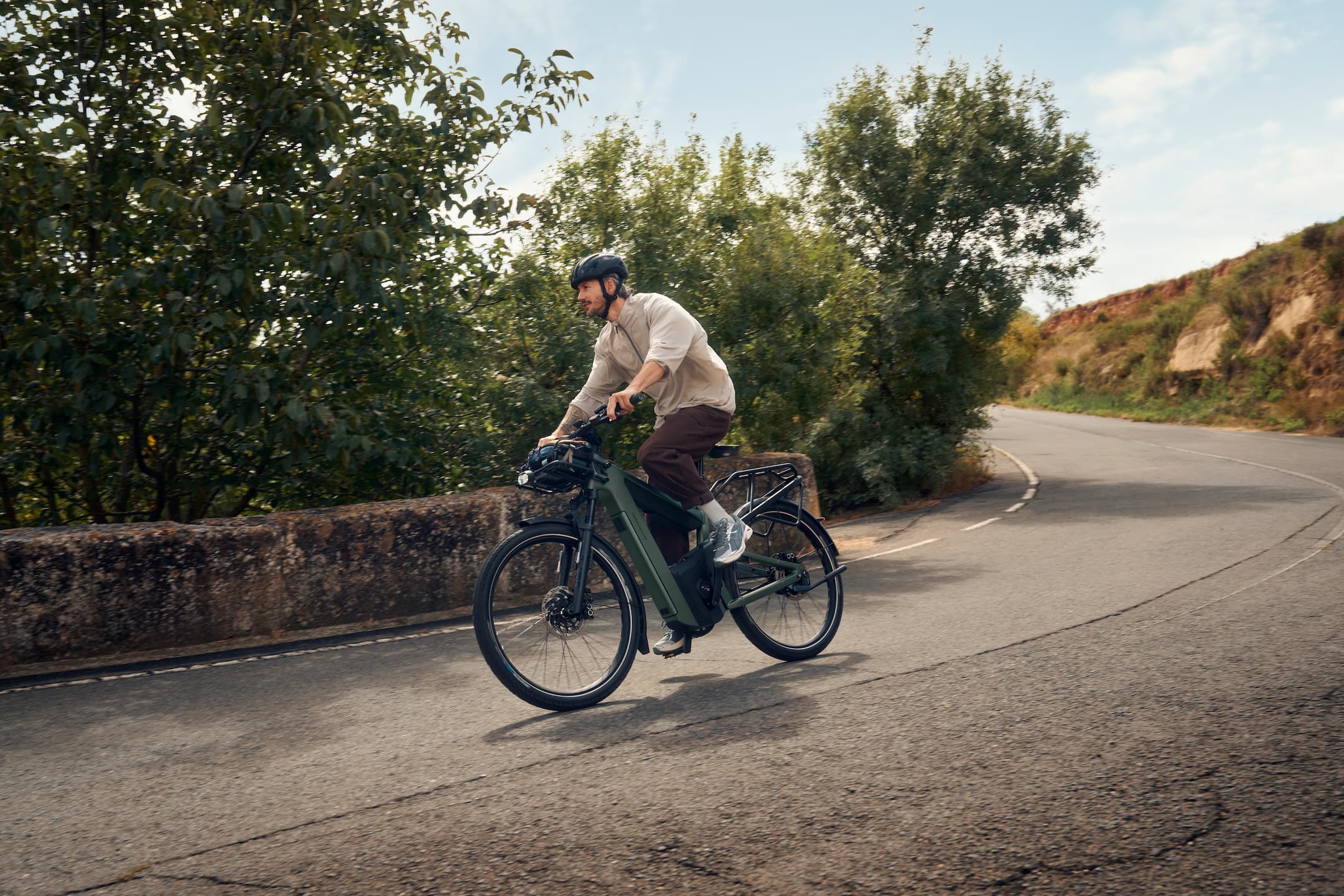 Premium Bosch trekking e-bike suited to Rohloff hub gear